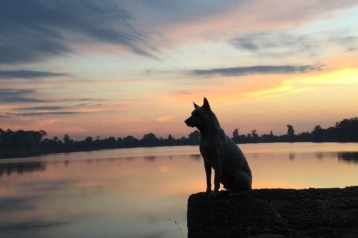 1 Day Angkor Wat with Sunrise Tour