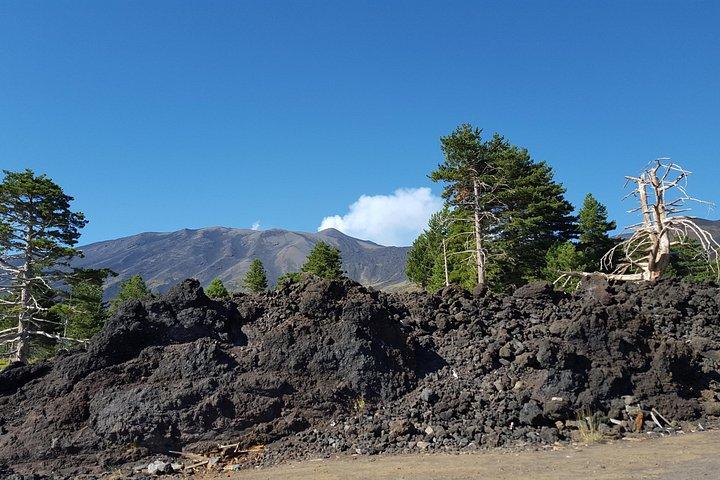 Mount Etna Tour from Palermo (with Taormina option)