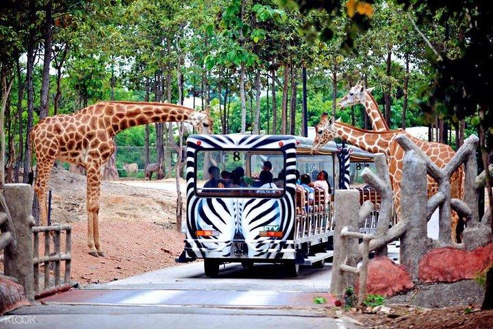 Hoteller i nærheden af Night Safari - Chiang Mai