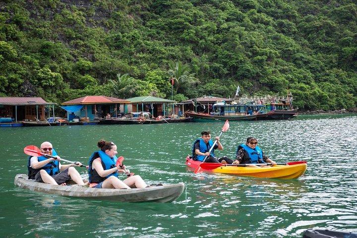 Tour privato Crociera di 1 giorno nella baia di Halong con grotta, kayak