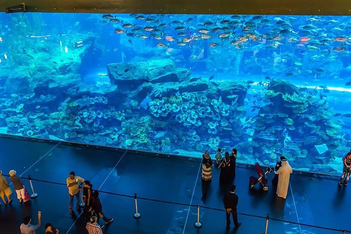 Dubai Mall Aquarium & Underwater Zoo with Penguin Cove Tickets