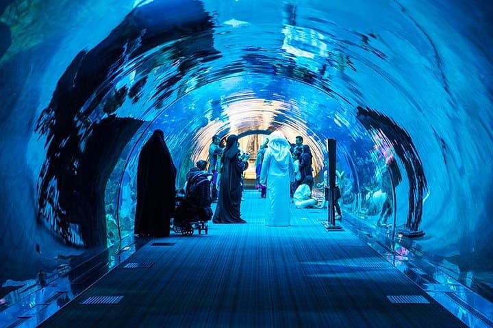 Dubai Mall Aquarium & Underwater Zoo with Penguin Cove Tickets
