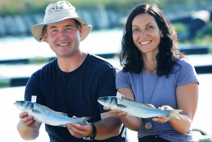 Um Dia Inesquecível Com Prova de Peixe, Vinhos e Azeite