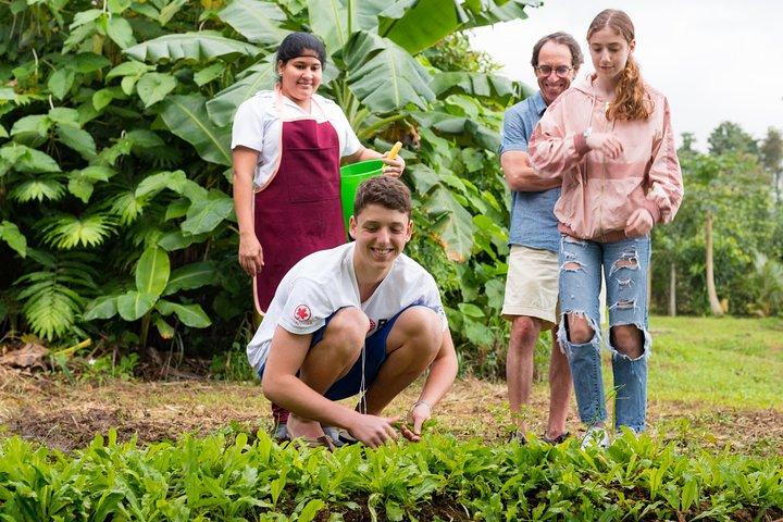 Cours de cuisine Pura Vida à La Fortuna de la ferme à la table