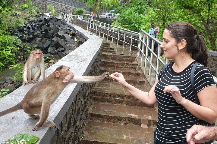 サンジェイガンジー国立公園（SGNP）+ケンヘリ洞窟+ライオンサファリ+ジャイナ寺院