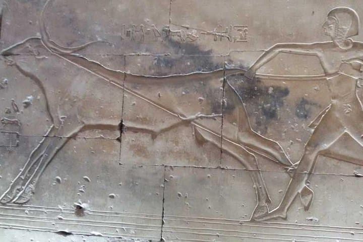 Dendera and Abydos Temples Day Tour from Luxor