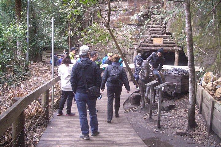 PRIVATE Blue Mountains day tour with local guide.