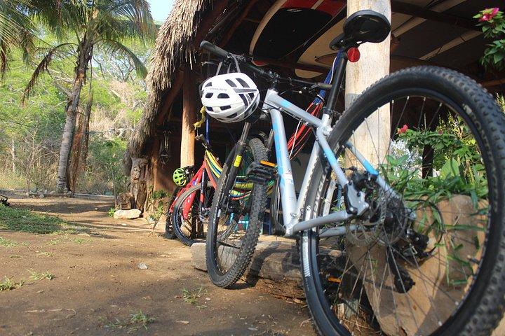 Mountain Bike Tours