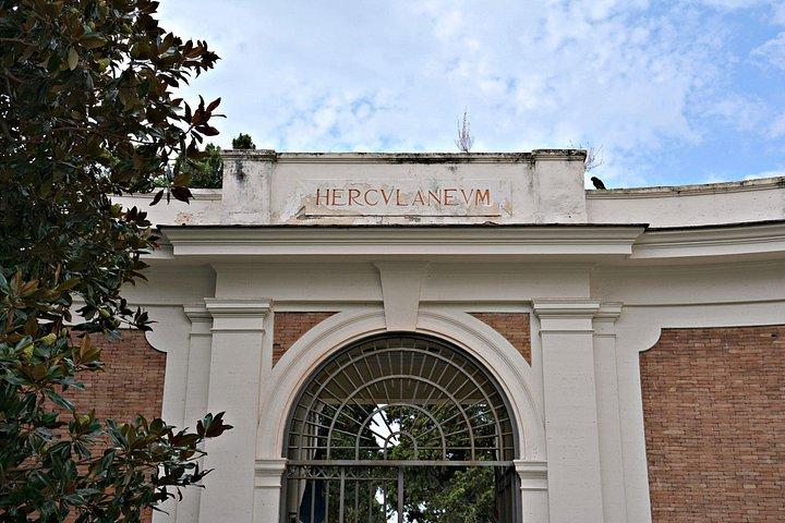 Herculaneum遺跡から山への旅。ナポリからのベスビオプライベートツアー