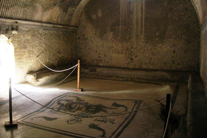 Herculaneum遺跡から山への旅。ナポリからのベスビオプライベートツアー