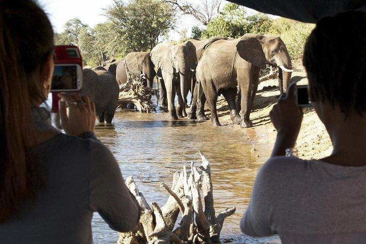 Chobe Full Day Trip