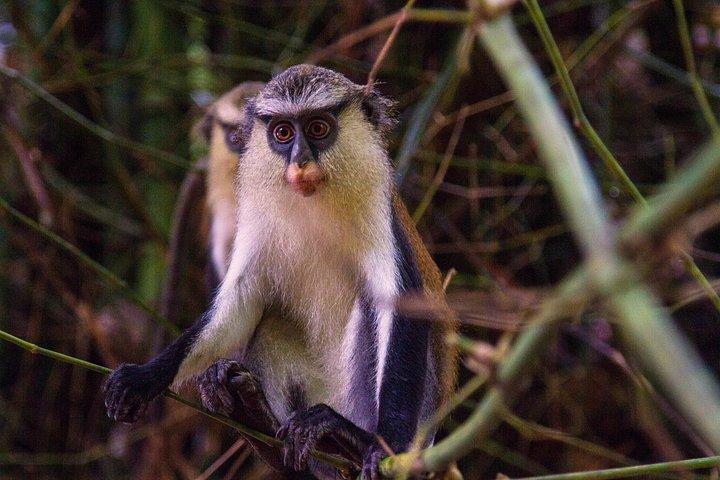 2 Days Eco Volta & Eastern Ghana Tour