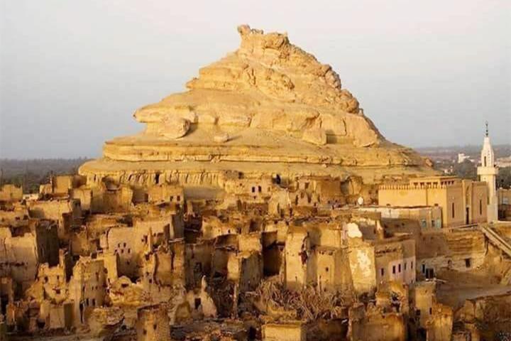 シワとバハリヤ オアシスへの 5 日間の旅行