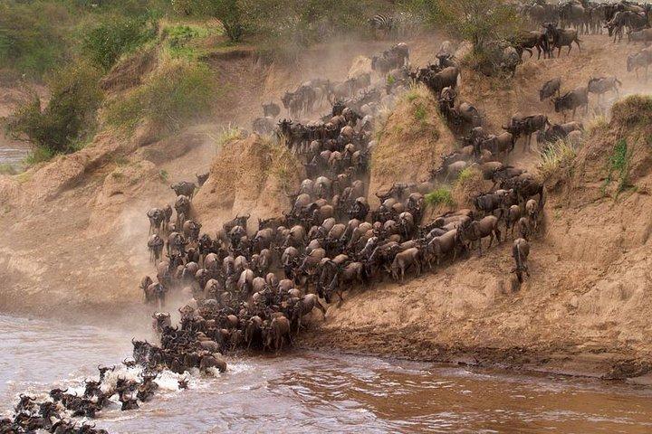 3 giorni di gruppo unendo maasai mara tour