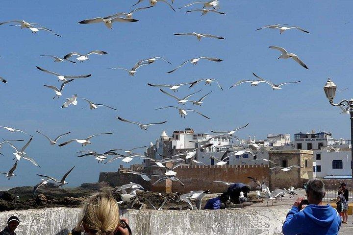 Essaouira fishing Town