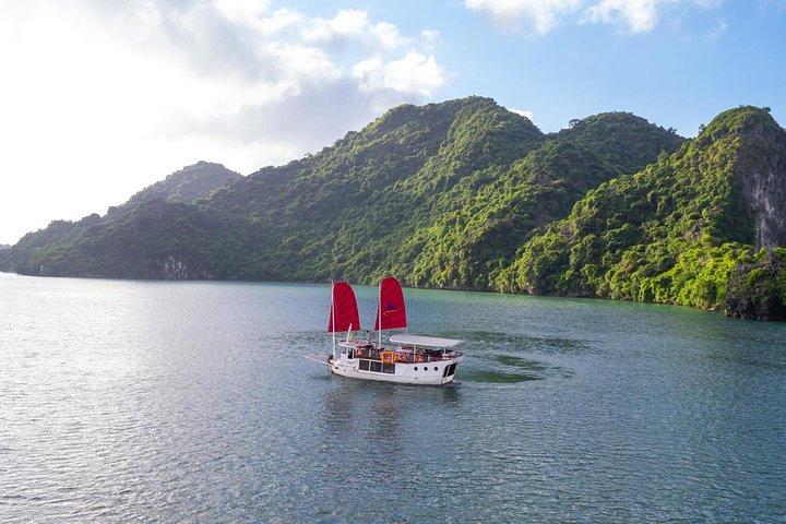 Tour privato Crociera di 1 giorno nella baia di Halong con grotta, kayak