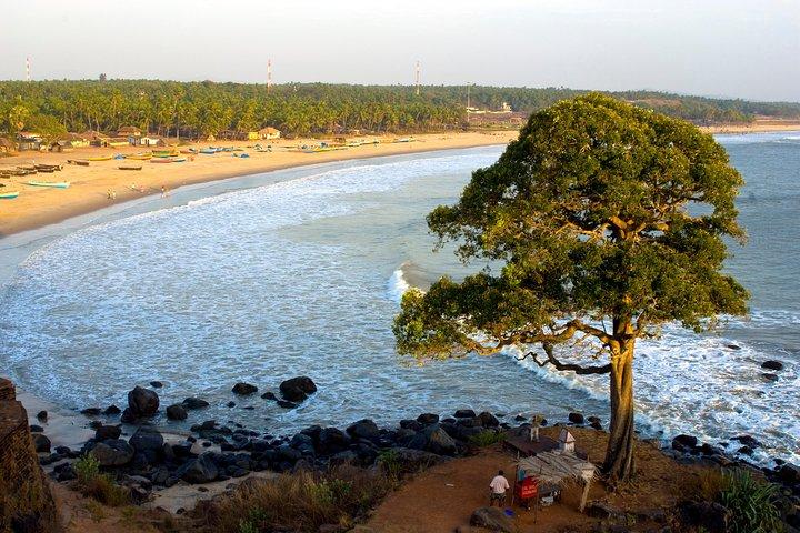 Cochin a Goa - Costa de Malabar (9 dias)