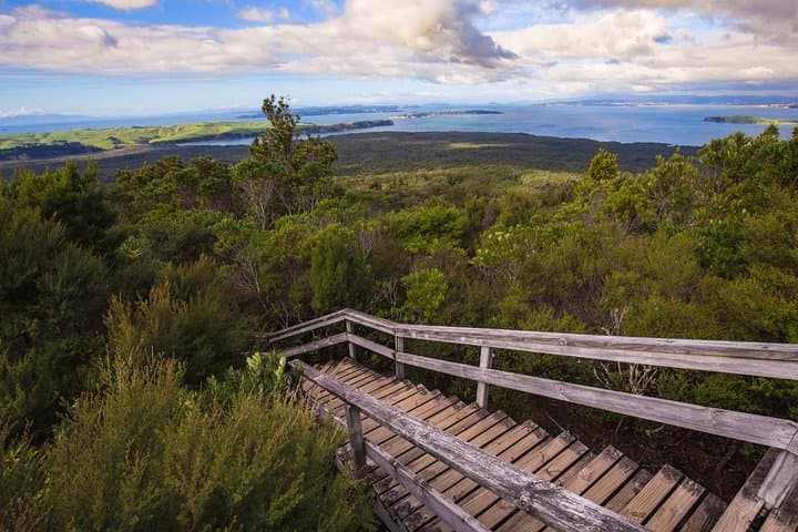 Auckland to Rangitoto Island Ferry