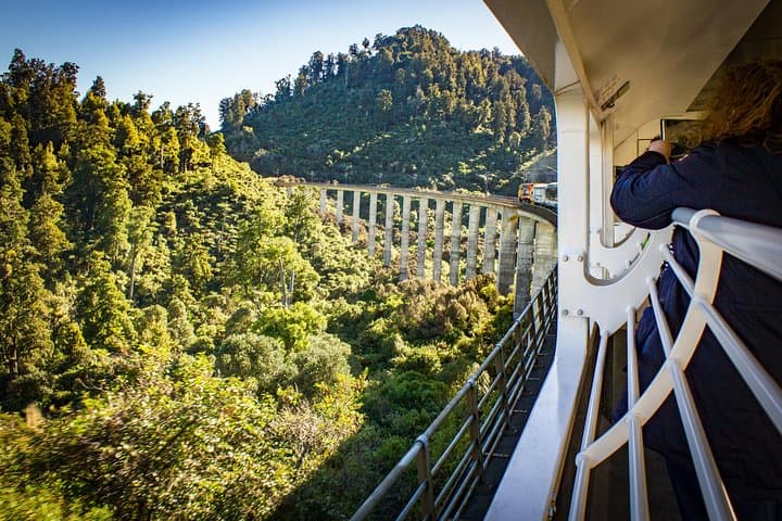 Northern Explorer Train Journey from Auckland to Wellington