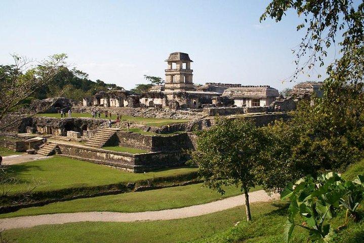 ROVINE MAYA DI PALENQUE (Privato)