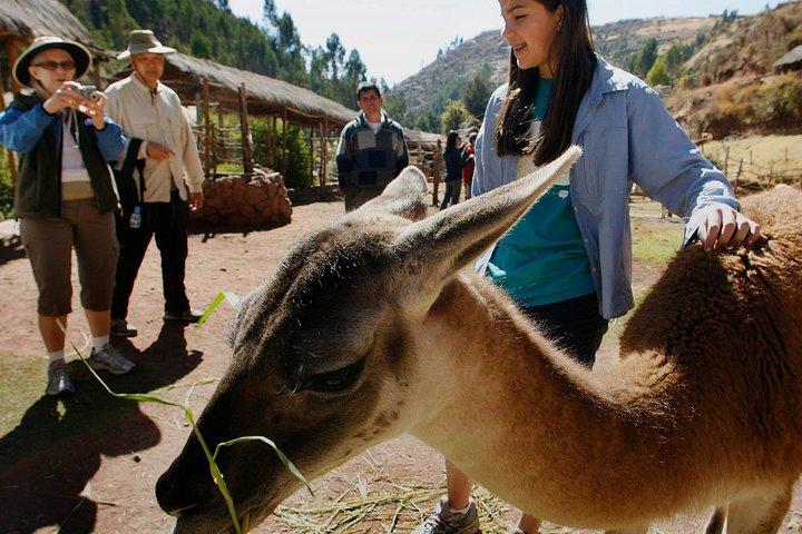 ペルーのVIPと聖なる谷：ピサック、オリャンタイタンボ、チンチェロ