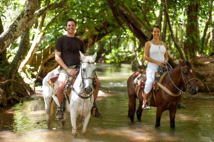 Eventyr i samana-bugten og vandfaldet El limon fra punta cana