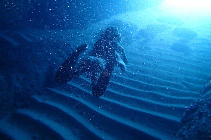 プライベートスピードボートツアー-青の洞窟/緑の洞窟/砂浜