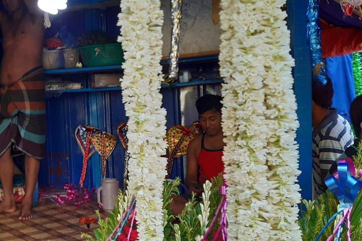Private Kolkata Tour: Halv- og fulddagsoptioner