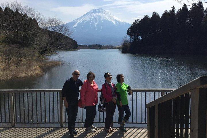 清水港から富士山エリアツアー／バンタクシー