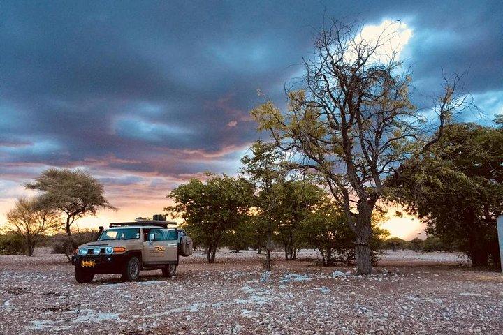 Découvrez Etosha, Brandberg et Twyfelfontein avec un avant-goût de la côte namibienne