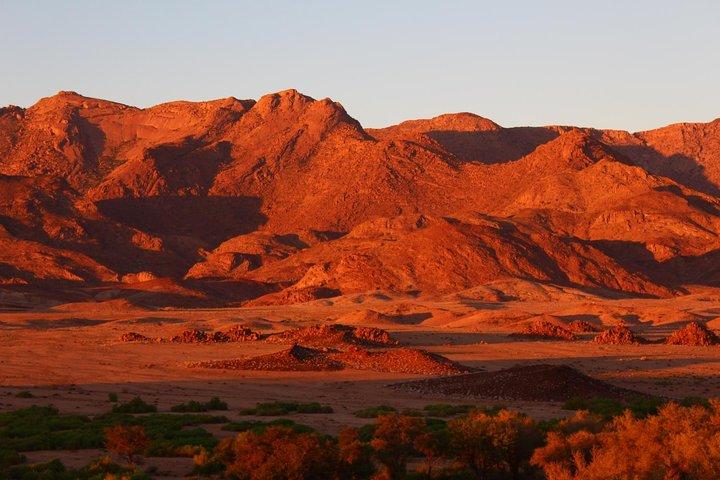 Découvrez Etosha, Brandberg et Twyfelfontein avec un avant-goût de la côte namibienne
