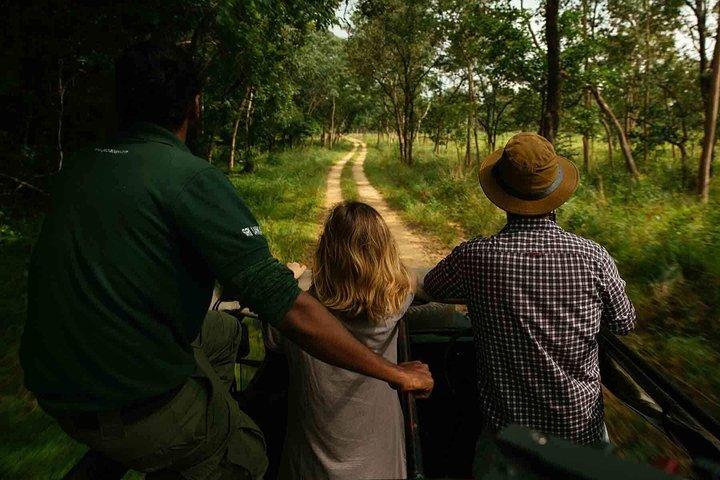 Safari à tarde no Parque Nacional Gal Oya