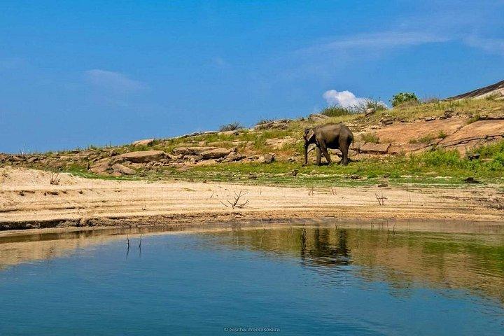 午後のサファリからガルオヤ国立公園へ