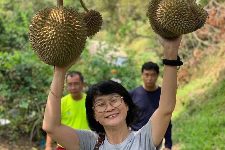 Penang: Flexible 6-Stunden-Highlights