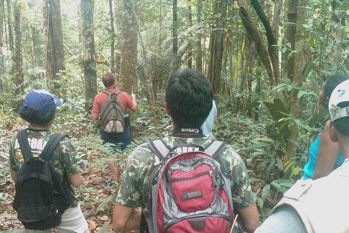 Private Caves and Waterfalls Day Tour