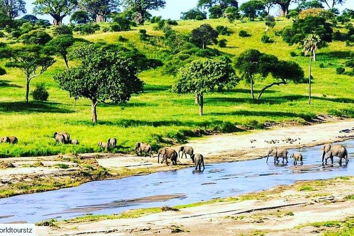 5 Days Mid-Range Lodge Safari till Lake Manyara, Serengeti & Ngorongoro.