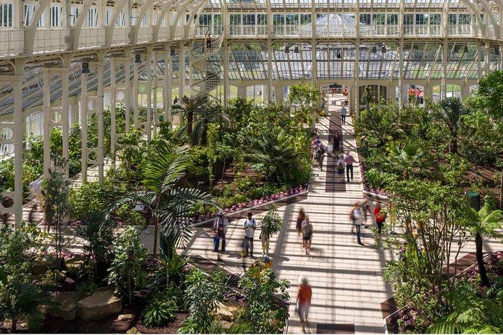 Kew Gardens＆3時間Westminsterウォーキングツアー