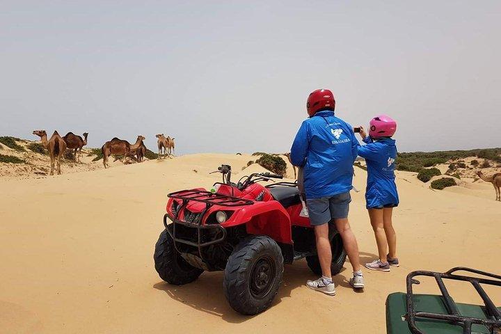 Essaouira P14: Fyrhjuling och kamelridning