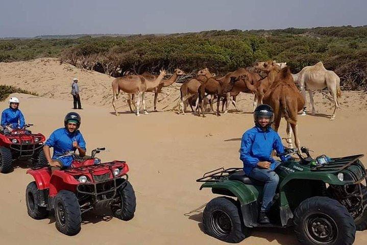 Essaouira P12: 1 timmes fyrhjulingstur och 1 timmes dromedartur