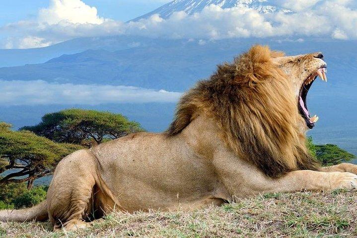 5 giorni Maasai Mara, Lake Nakuru, safari safari privato samburu