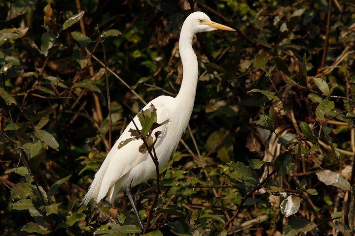 Prek Toal生物圏への1日プライベートガイドツアー - オールインクルーシブ