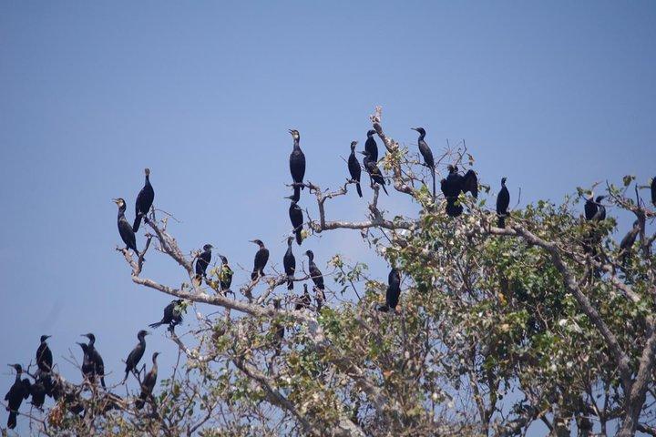 Prek Toal生物圏への1日プライベートガイドツアー - オールインクルーシブ