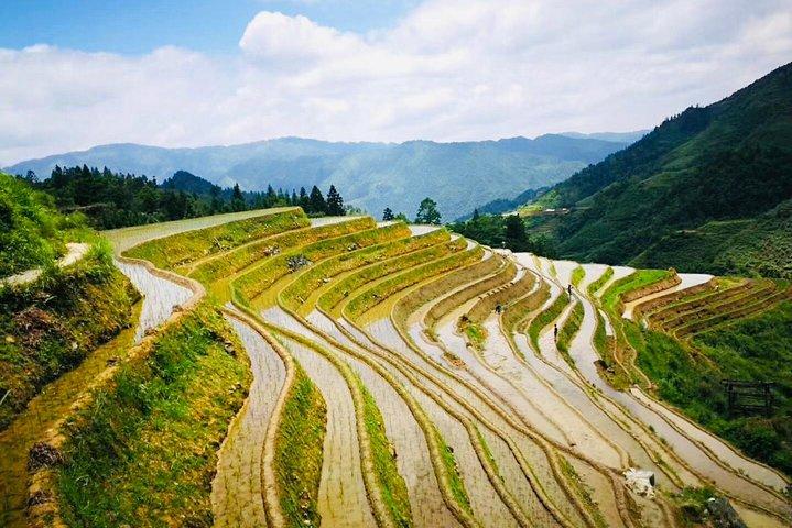 Private Tagestour zu den Longji-Reisterrassen ab Yangshuo