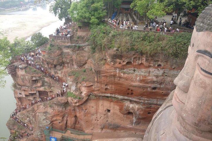 成都パンダ基地と楽山大仏一日ツアー