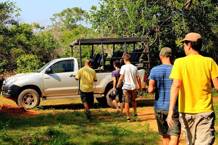 Visite privée: Parc national YALA avec chauffeur / guide expérimenté