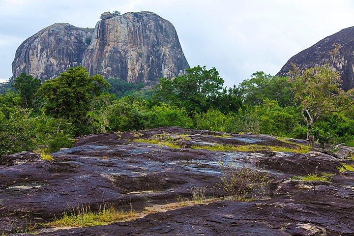 Visite privée: Parc national YALA avec chauffeur / guide expérimenté