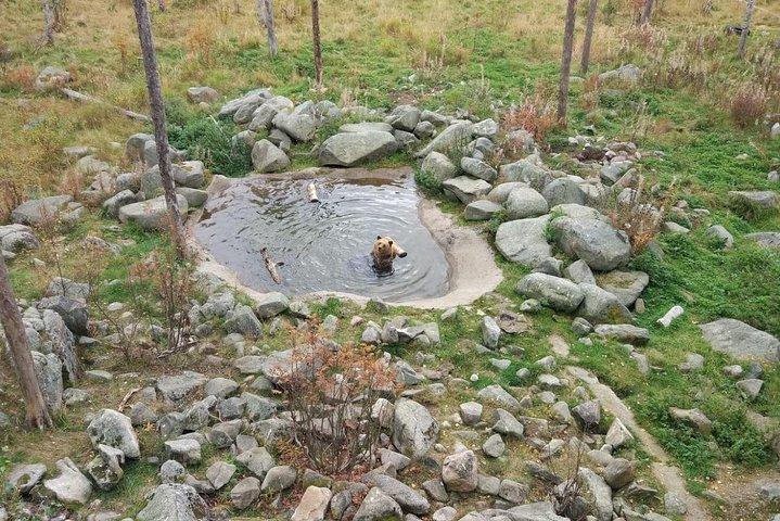ガイド付きラヌア野生動物公園ツアー（ランチ付き）、少人数アドベンチャー