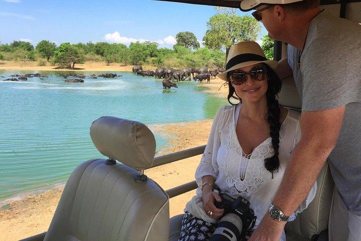 Tour TUTTO COMPRESO del Parco Nazionale UDAWALAWA con PICK UP INCLUSO