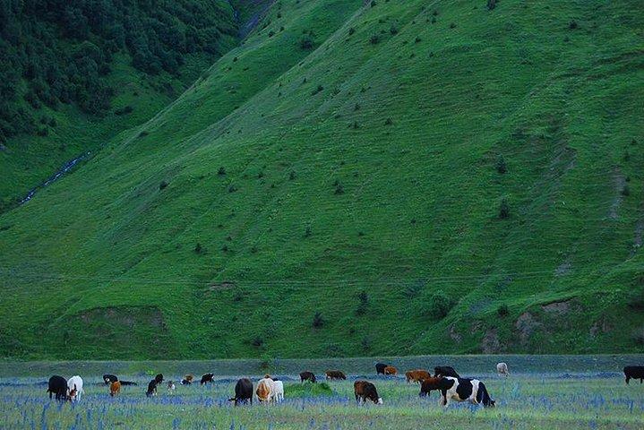 Kazbegi Adventure - Private Day Trip Da Tbilisi con cena + Masterclass