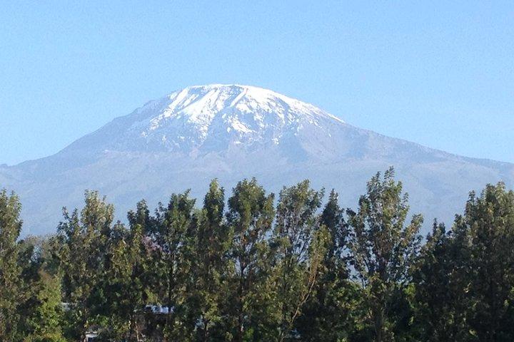 8-dages Kilimanjaro Adventure-Lemosho Route